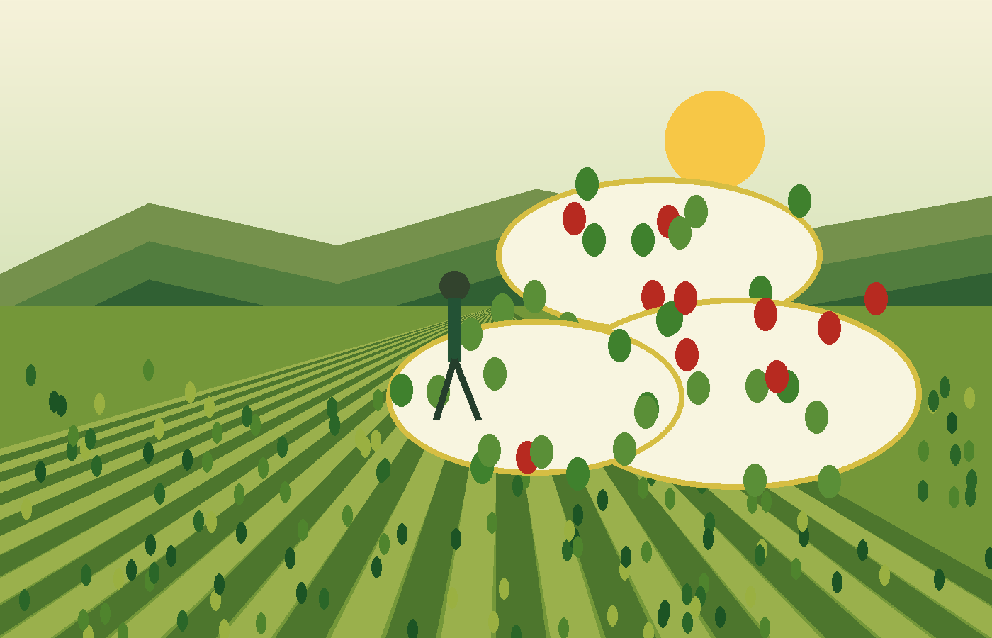 Organic farm landscape